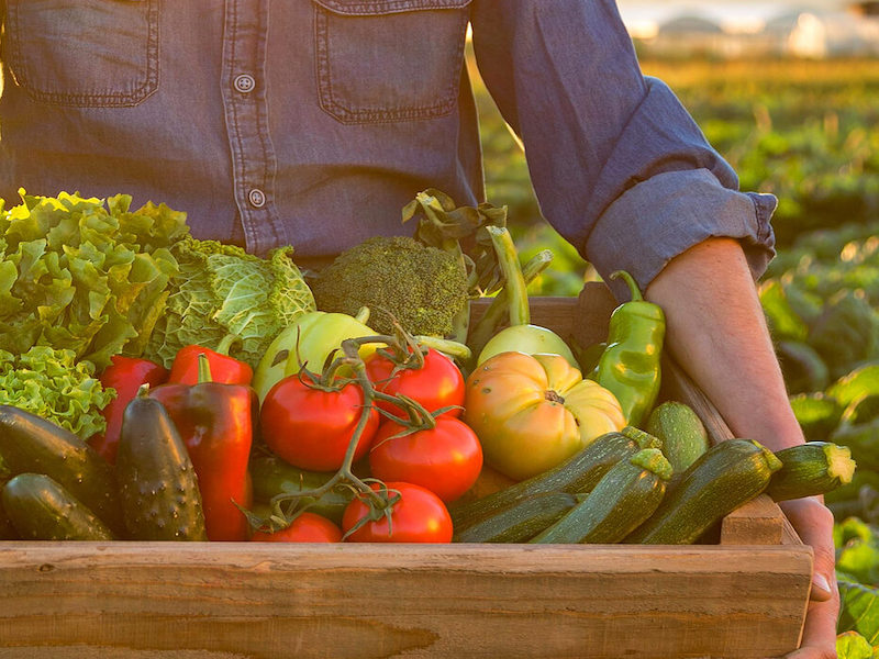 a person carrying a wooden box of vegetables such as tomatoes, broccoli, and zuchinis.