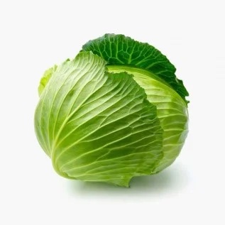 image of cabbage